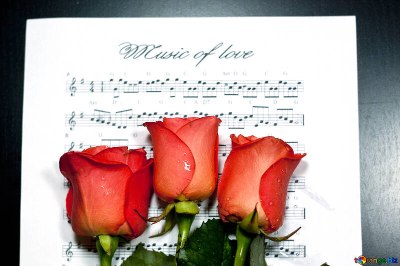 Flowers  and  music №7144