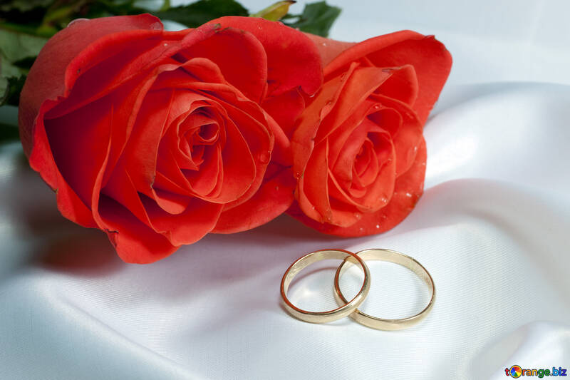 Two- roses , two  ring  at  bed №7223