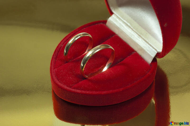 Casamento anel №7125