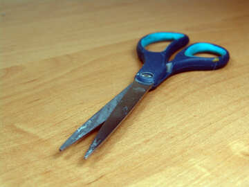 Scissors  for  Paper №8995