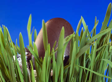 Egg  of the  Chocolate  at  Blue  background №8123