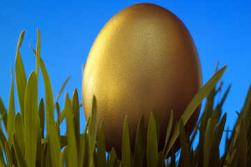 Background  to  postcards  at  Easter . Gold  Easter  Egg   grass  to  Blue  backdrop №8188