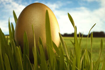 Gold  Egg   grass №8132