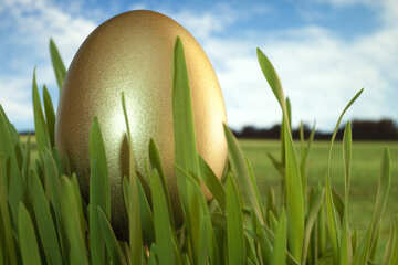 Jewel  Easter  egg . Gold. №8187