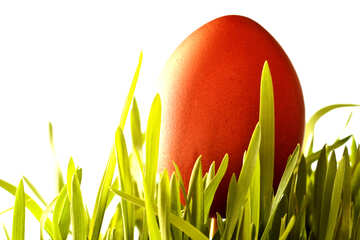 Фон. Червоне яйце в траві на білому фоні з Пересветом. №8181