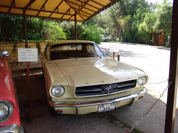 Ford Mustang . Coleção carro. №8254