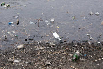 Botellas  y  basura  en  agua  y  en  costa