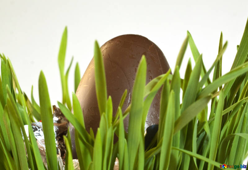 Chocolate  egg №8182