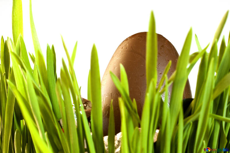 Chocolate  egg and  grass №8126