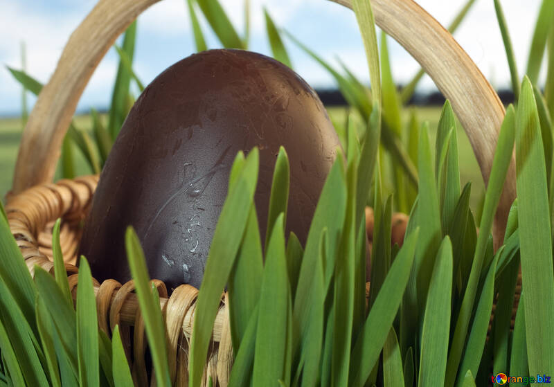 Chocolate  Egg   surprise. №8200