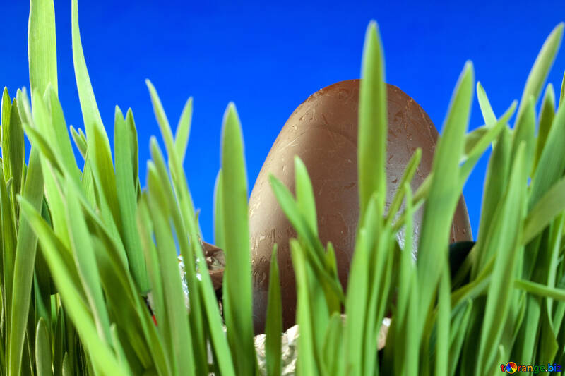 Chocolate , hierba , huevo en Azul fondo №8115