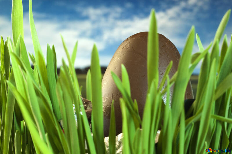 Uovo di Cioccolato Pasqua №8127