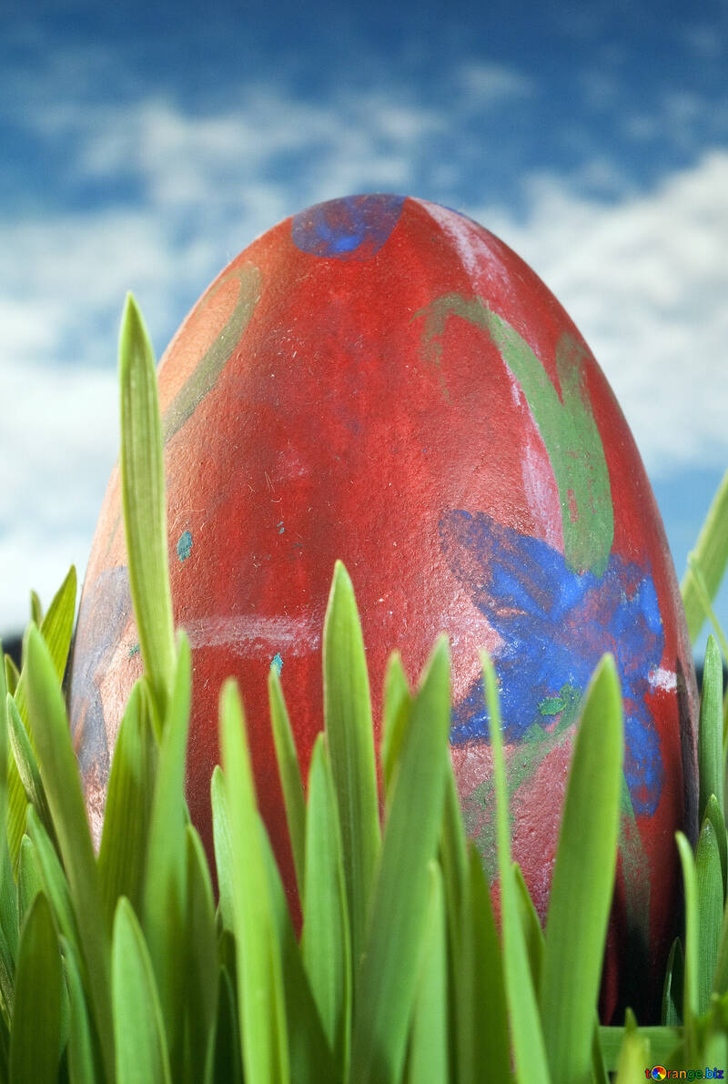 Easter eggs №8166