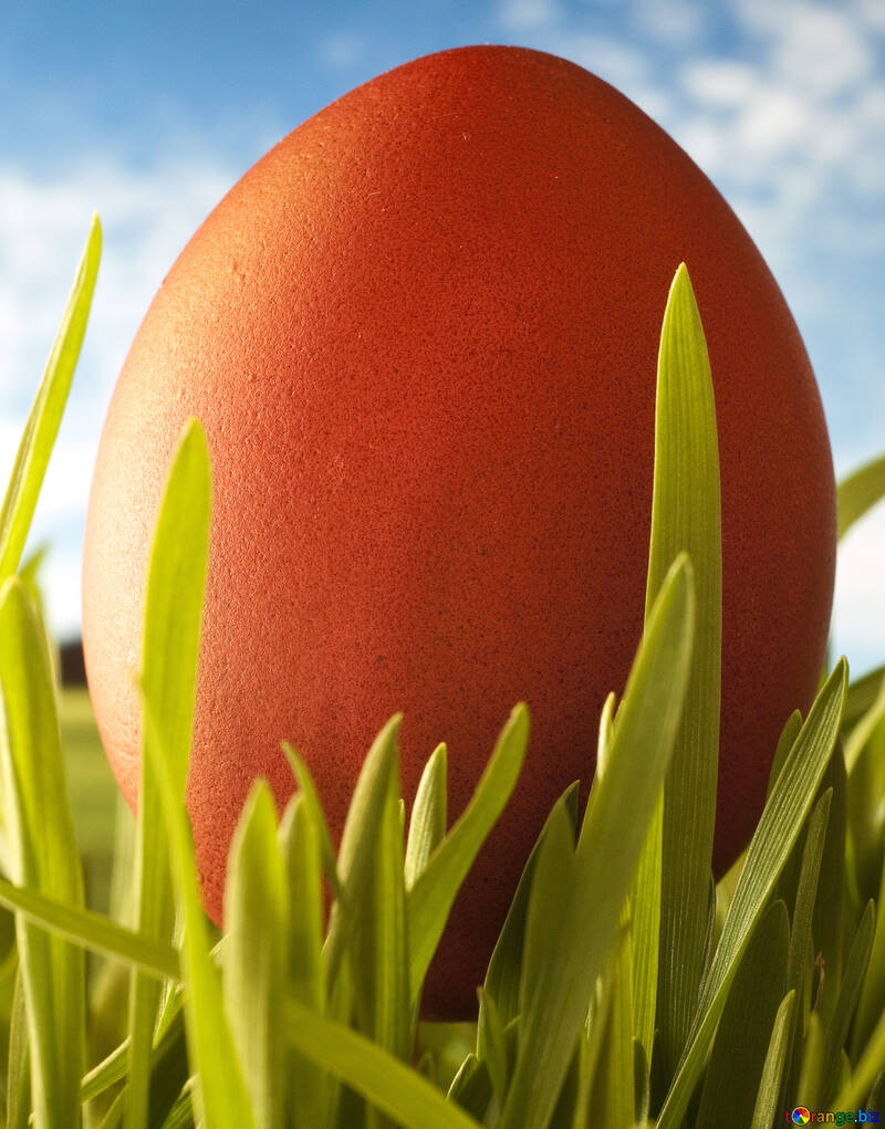 Easter  treat . Egg. №8177