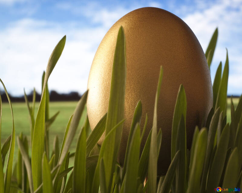 Easter  gold  egg №8131
