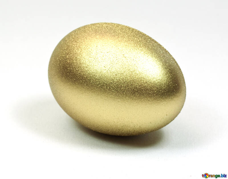 卵 の 金 №8237
