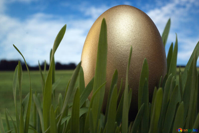 Festive  gold  egg №8103