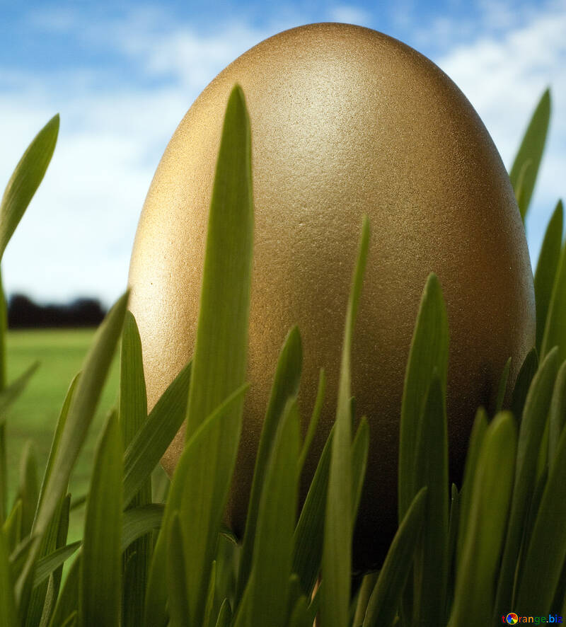 Large  gold  egg №8111