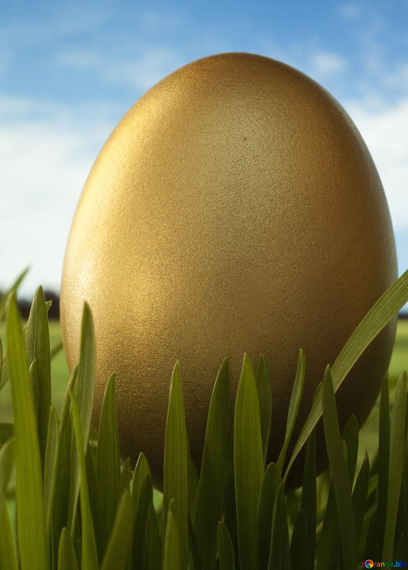 Golden eggs image gold testicle images grass № 8192 torange.biz free pics o...