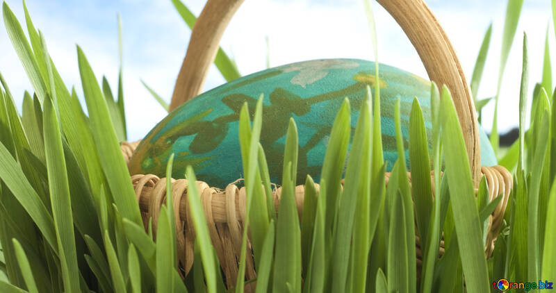Великоднє яйце в траві №8176