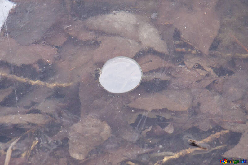 Bubble  Air  in  ice №8684