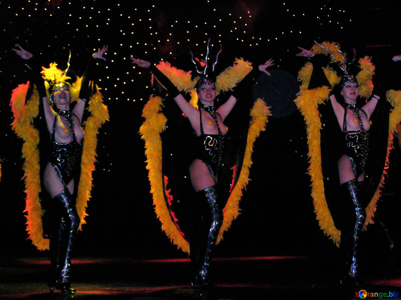 Variety cabaret striptease  show   night  the club. №8261