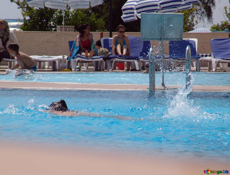 Swimming №8802
