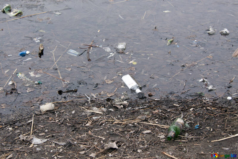 Пляшки і сміття у воді і на березі №8712