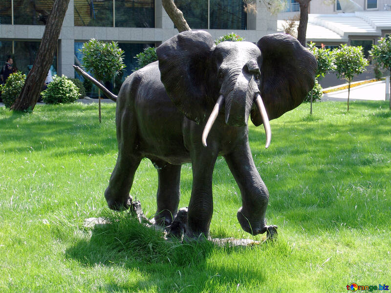 象 。 庭 彫刻。 №8449