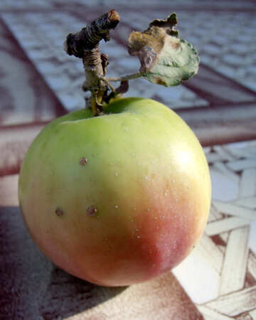 Natural  apple №9341