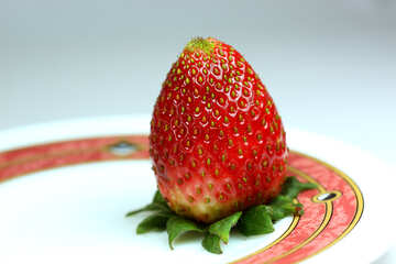 Frucht  Erdbeeren №9133