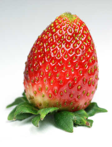 Ripe  and  juicy   berry  strawberries №9153