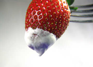 Erdbeeren №9124