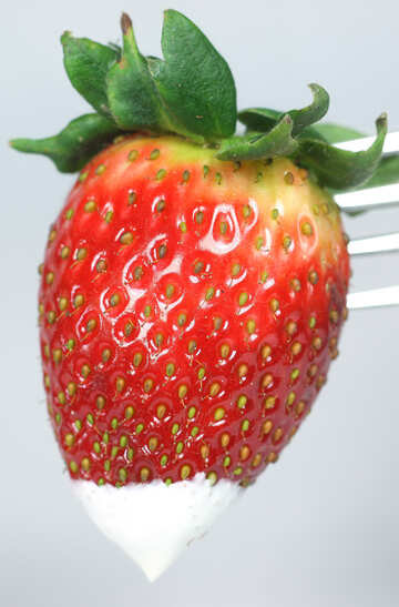 Strawberries    dessert. №9154