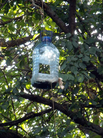 Feeder  for  Birds  of the  bottle №9572