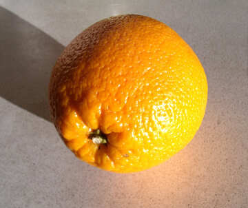 オレンジ №9208