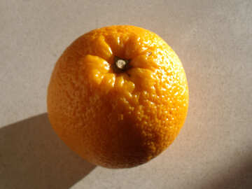 オレンジ  色 №9214