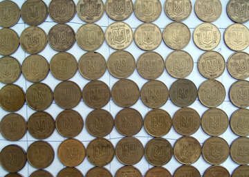 Ukrainian  coins . №9503