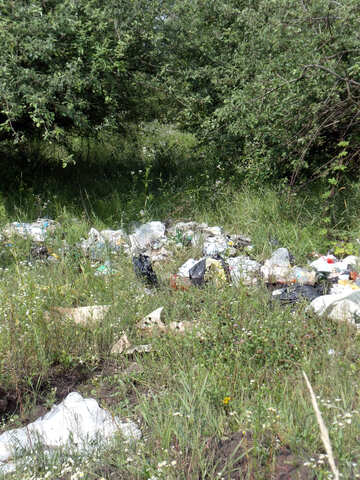 Dump  garbage  at  Nature №9620