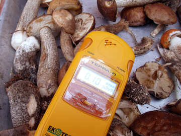 Checking  mushrooms   radiation №9400