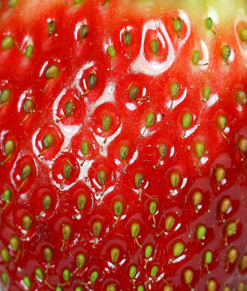 Texture  strawberries