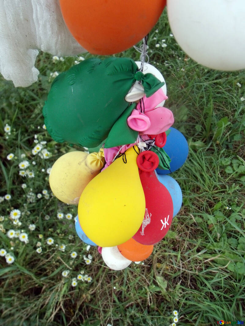 Garland  of the  balloons №9577