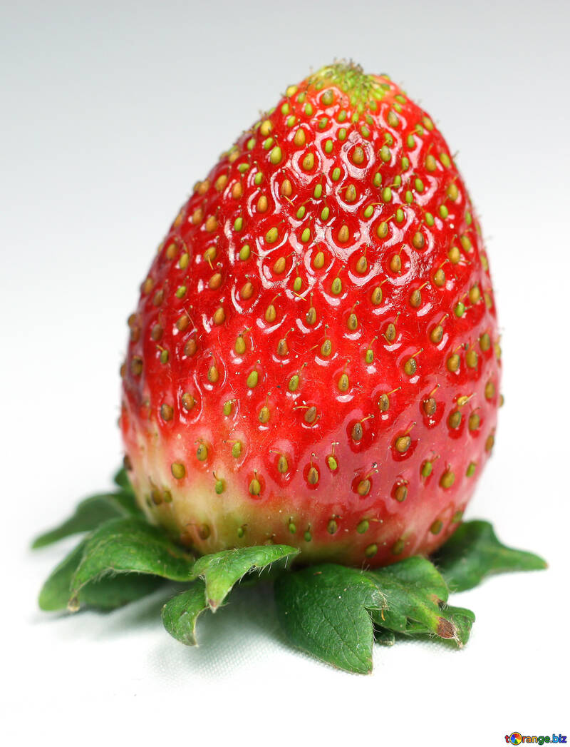 Reif  und  saftig  Beere  Erdbeeren №9153