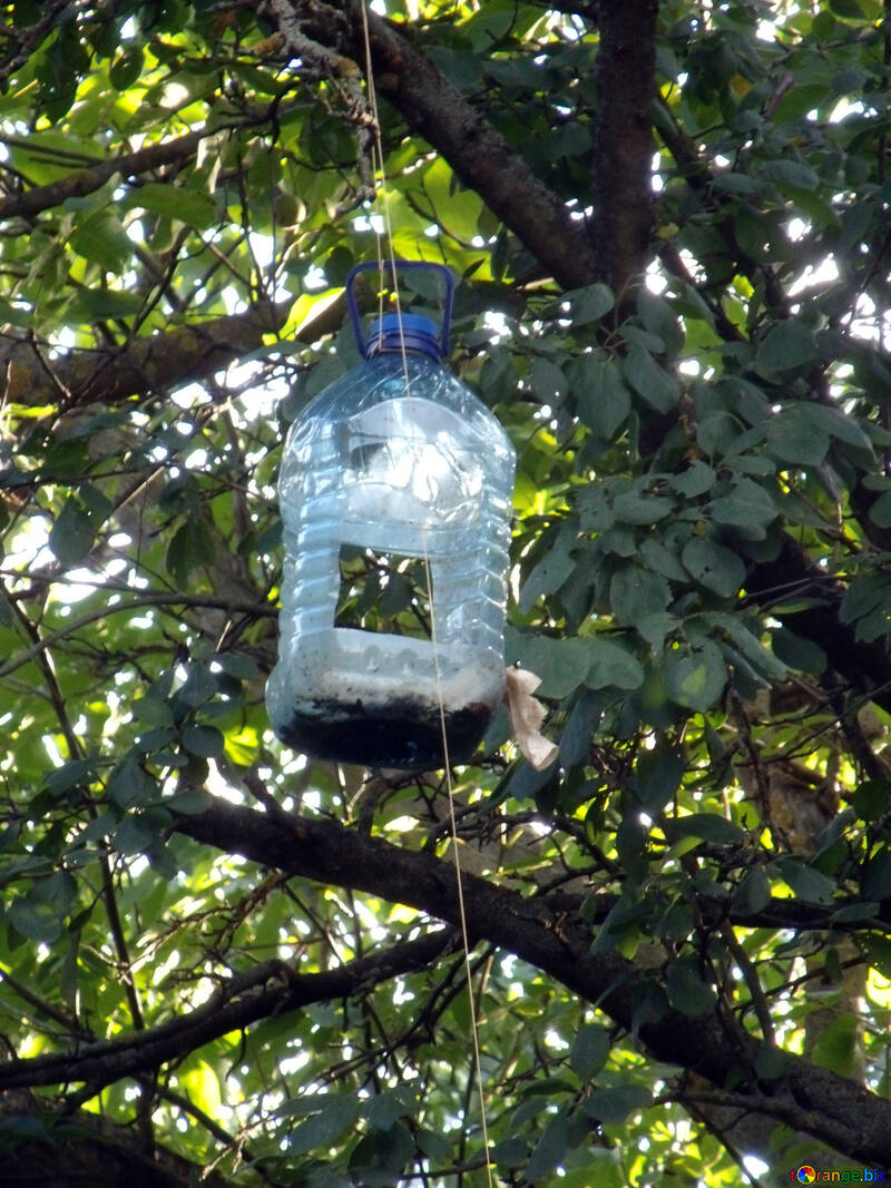 Alimentador  para  Pájaros  de  botella №9572
