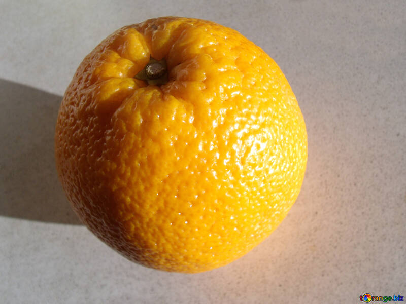 Апельсин №9213