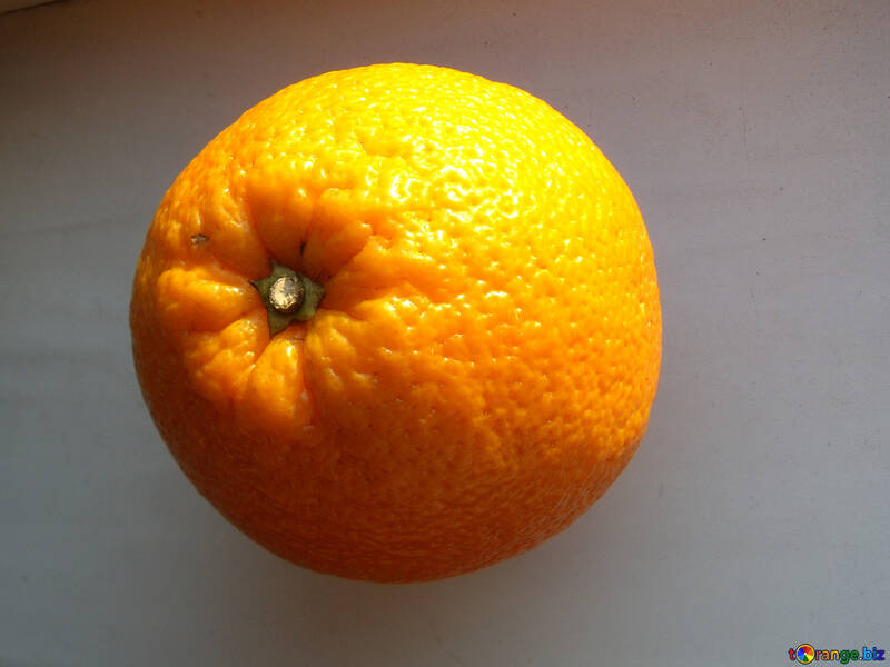 Orange  croûte №9209