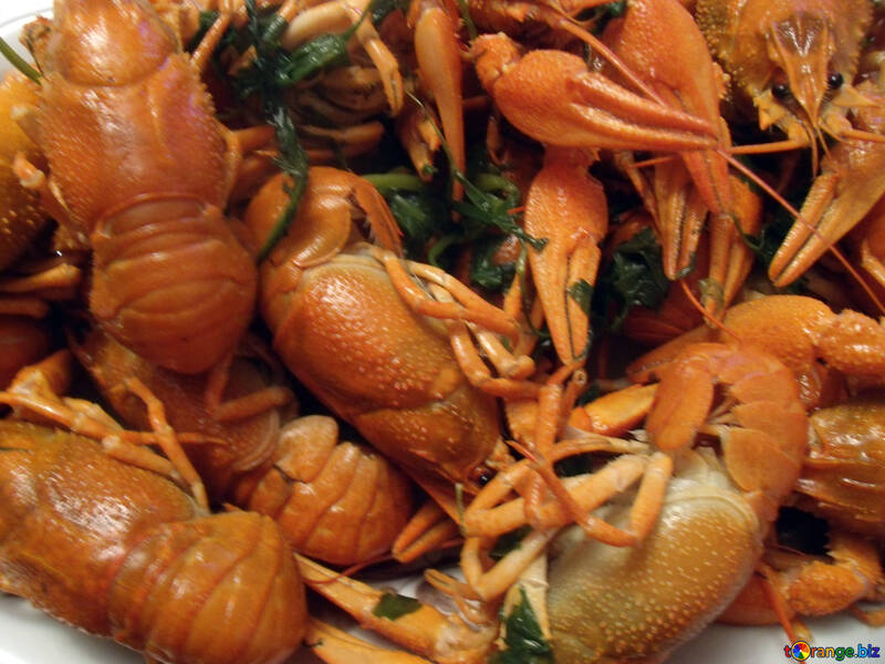 Cooked  crayfish №9962