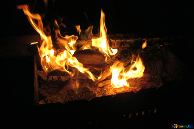 Fuoco  in  barbecue №9375