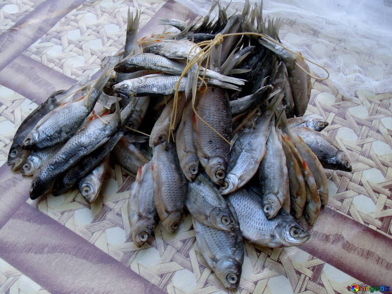 Dried  fish №9816