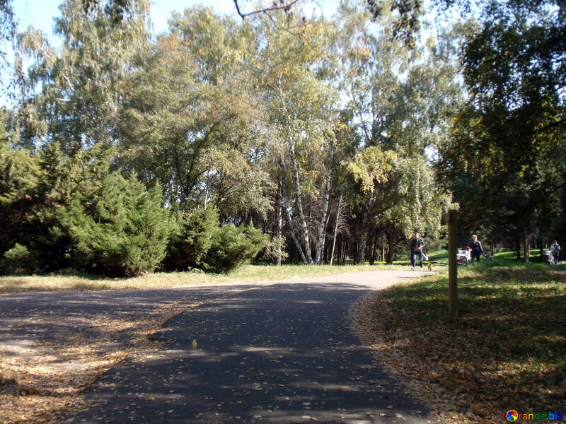 Herbst  Park №9983